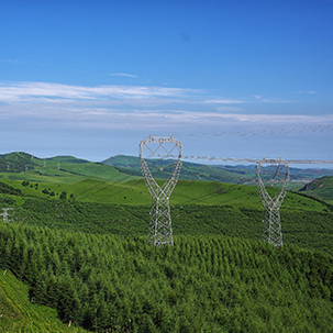 天津電力：構造綠色出行“基”礎